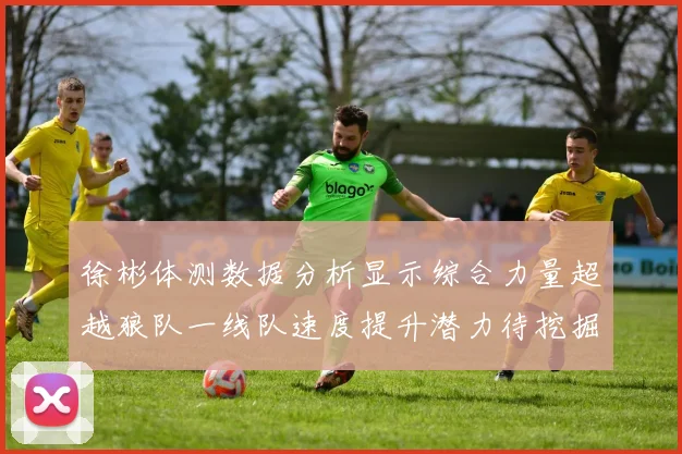 徐彬体测数据分析显示综合力量超越狼队一线队速度提升潜力待挖掘